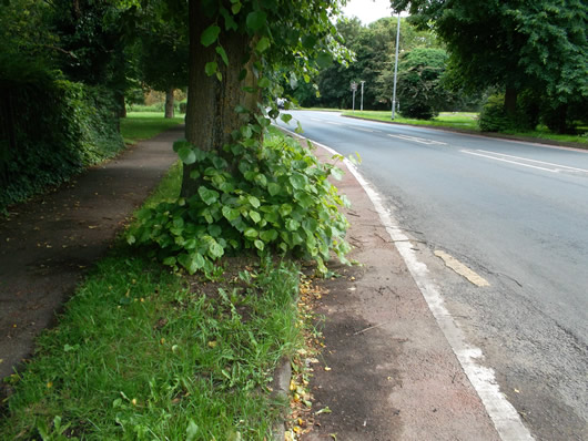 Wimbington Road  Barkers Lane Bus Stop