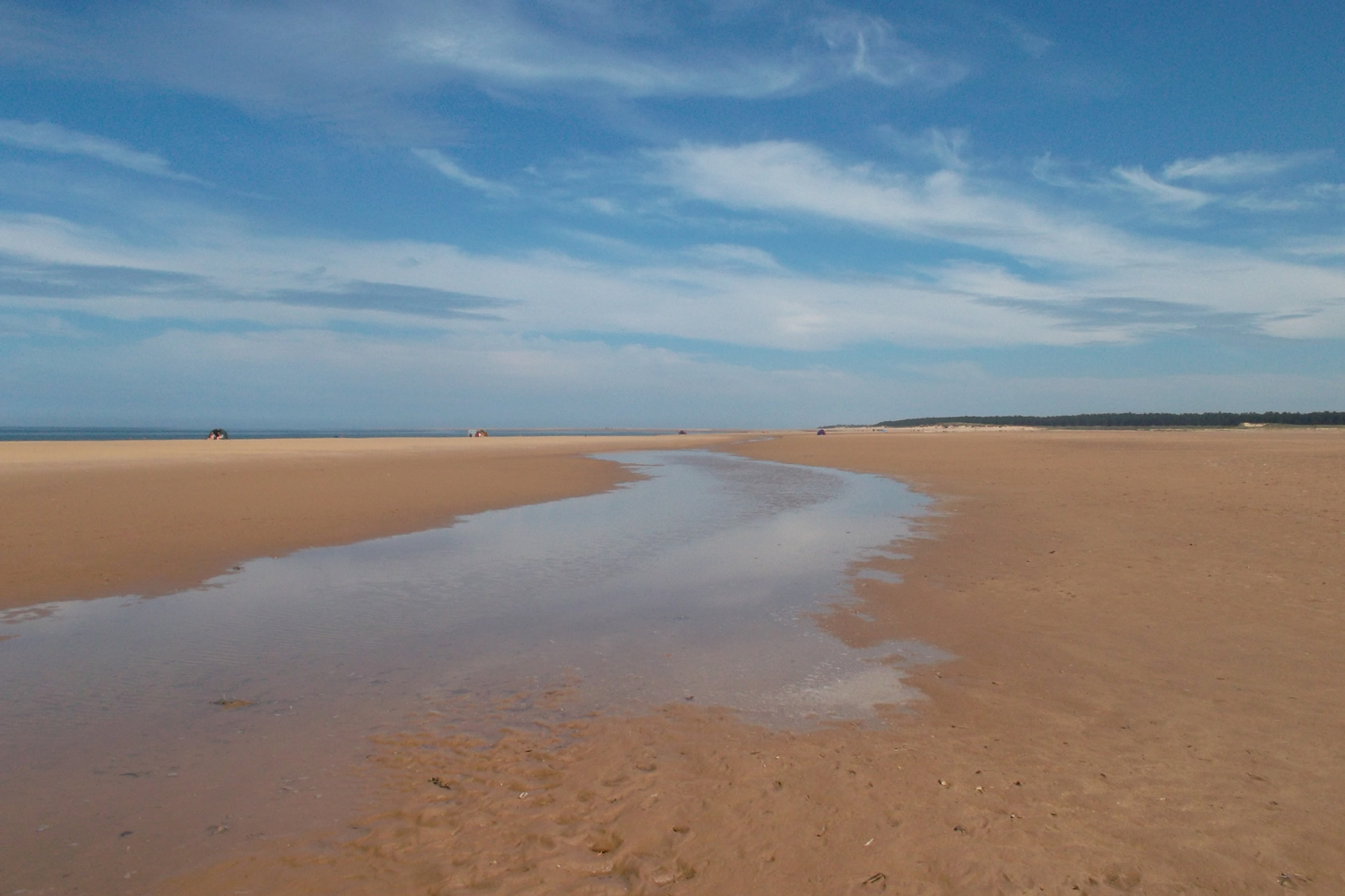 holkham beach 2014